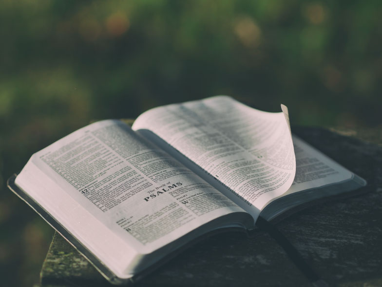 Bible Studies - Talitha Koum Society